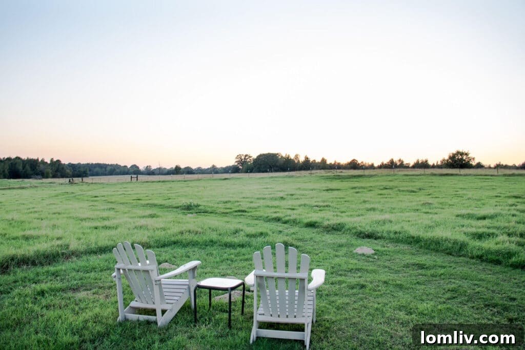 HHF-Chairs-1-1024x682