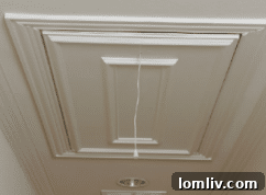 Attic Ease string system