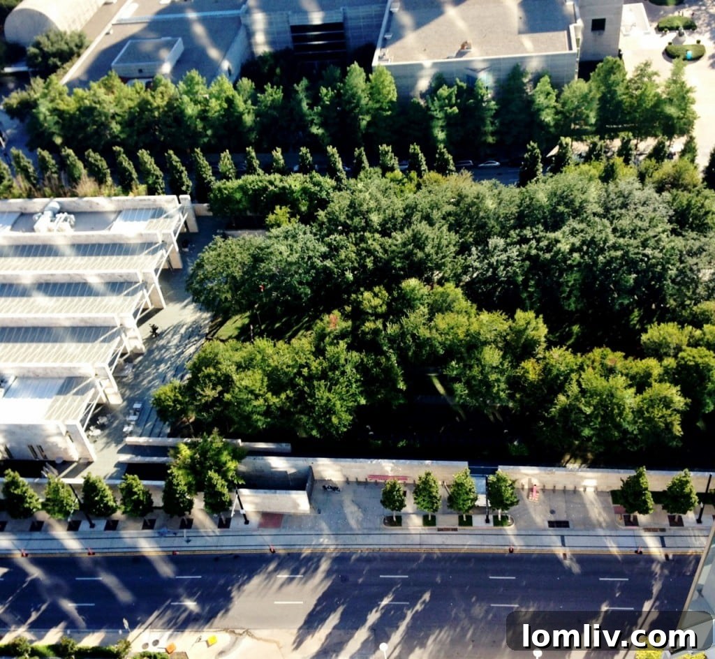 Museum Tower, Dallas luxury condominiums