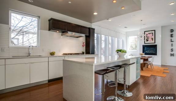 4206 Buena Vista, Dallas, TX - Modern Kitchen 2