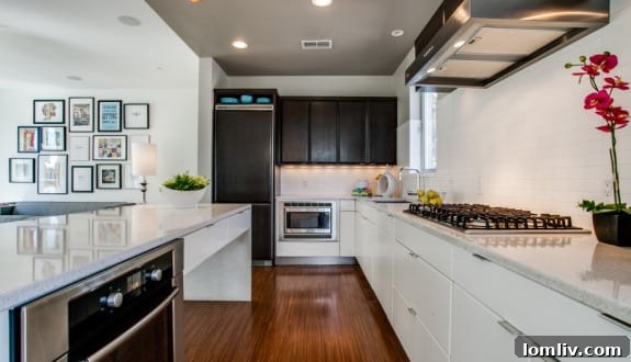 4206 Buena Vista, Dallas, TX - Modern Kitchen 3