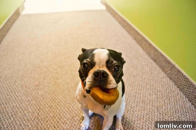 VIVO Realty agents enjoying a pet-friendly breakfast