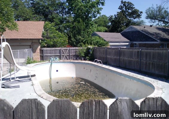 Dallas Councilwoman Vonciel Hill's neglected pool, photo by Eric Nicholson of The Dallas Observer