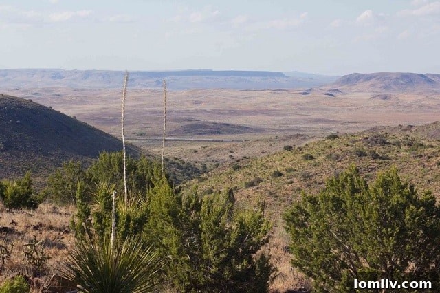 Alpine Texas Log Cabin Dining Area with Train View by Dan Nelson