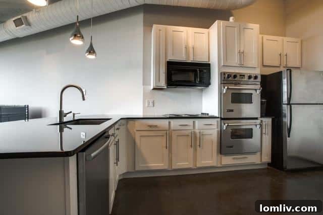 2220 Canton 309 Modern Kitchen