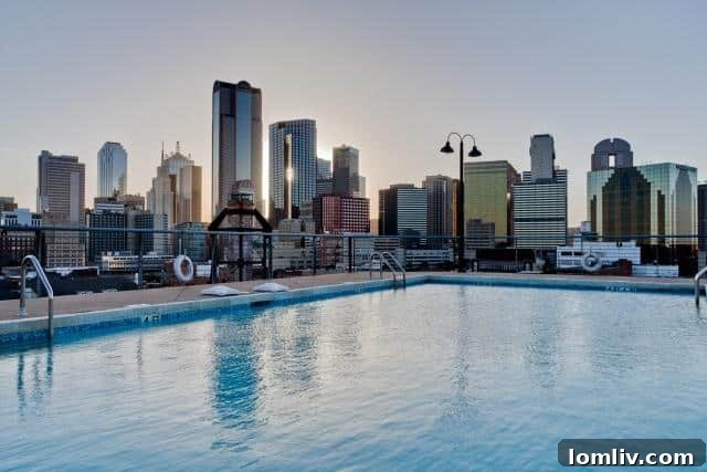 2220 Canton 309 Rooftop Pool with Dallas Skyline