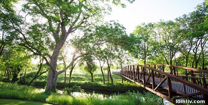 Fiori Apartments Vitruvian Park Green Space