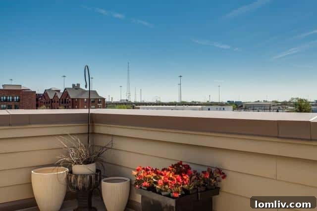Stunning view of Fair Park from the townhome's rooftop deck in Dallas