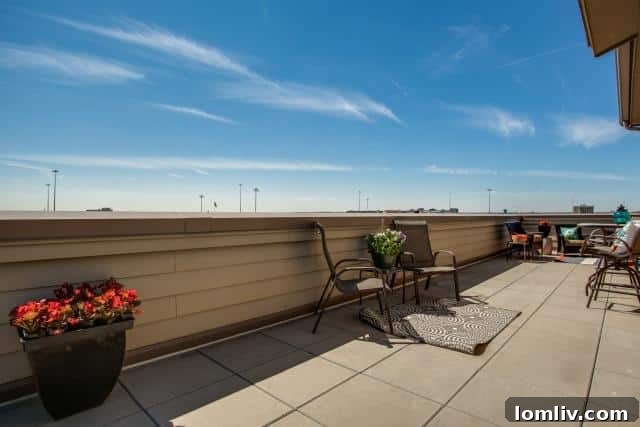 Spacious rooftop deck with urban skyline views of Dallas