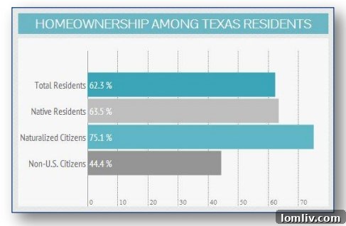 Texas International Homebuyers Statistics