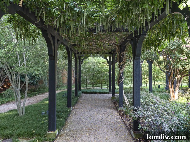 Beautiful outdoor arbor, providing shade and charm