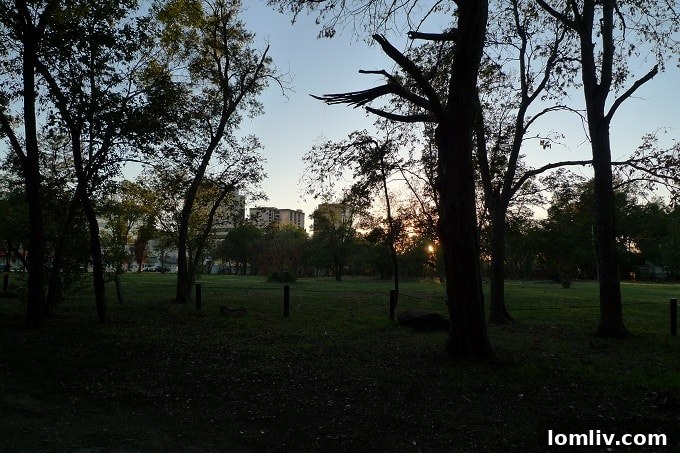 Mark Cuban's Strategic Preston Hollow Property Acquisitions