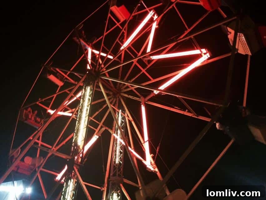 Ferris Wheel at Cattle Baron's Ball Gilley's Dallas