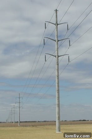 Realtors Rally in Frisco to Safeguard Home Values Amidst Power Line Controversy 3 Rural-Double-Circuit-Power-Line