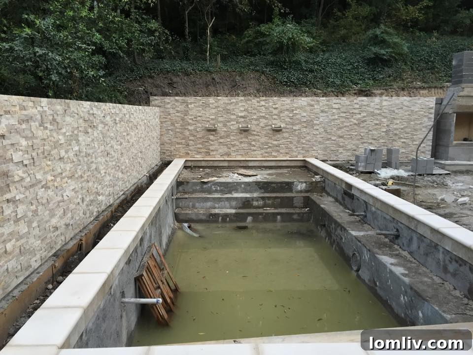 Future Oasis: Muddy Pool and Stone Wall in Transformation