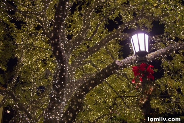 DALLAS-SARAH-BEAUREGARD-HIGHLAND-PARK-VILLAGE-BLOGGER-EVENT-107-2