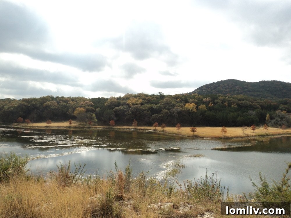 Dogleg-Ranch-Bandera