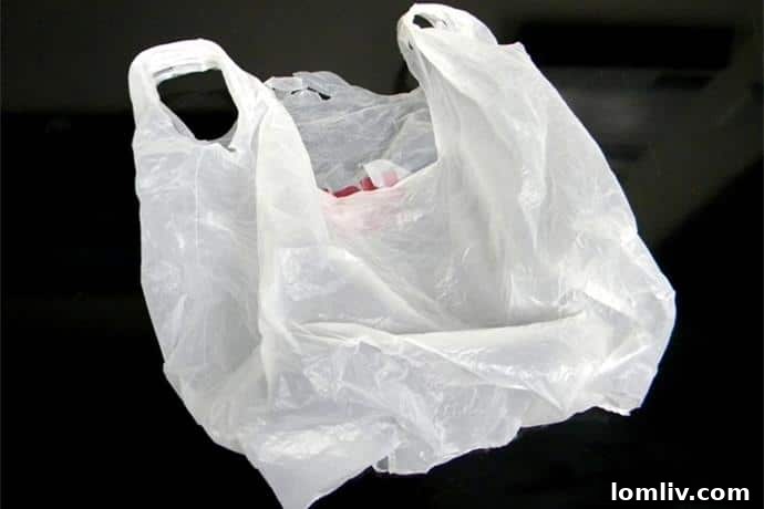 shopping-bag