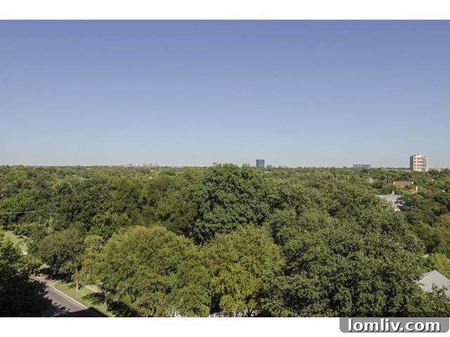 Drexel Highlander 6F Serene Highland Park View