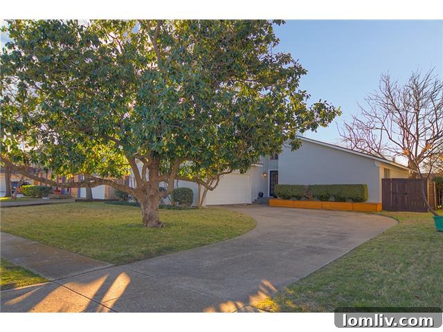 Richardson's Colorful Spark A Modern Bright Delight 4 1419-Dumont-B