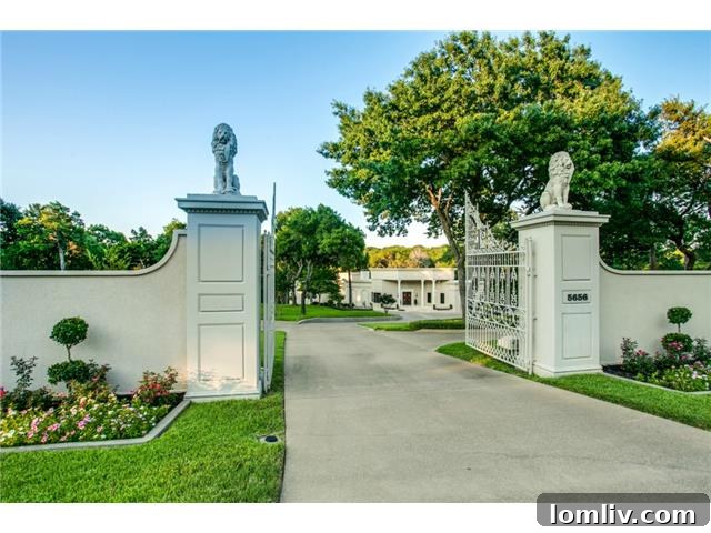 5656 Cedar Ridge gates - Grand Entrance to a Dallas Luxury Estate