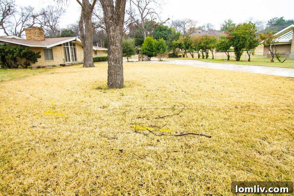 A section of the expansive 4,500 sq ft driveway, accommodating multiple vehicles