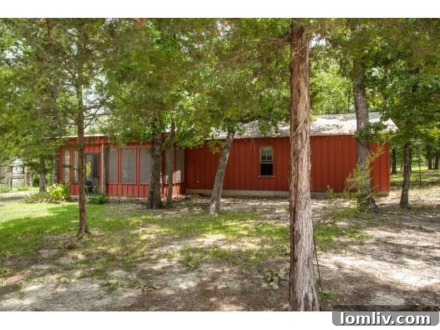 Canton-Hen-House-rear