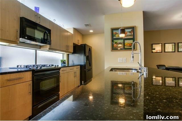Oak Lawn Oasis: Townhome with Soaring Ceilings, Low HOA Fees 12 4620 Lester Drive - Kitchen View 2
