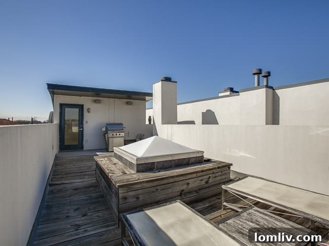 Beautiful Bowser Modern Townhome Urban Luxury Near Oak Lawn 17 4025-Bowser-Rooftop-Deck-2