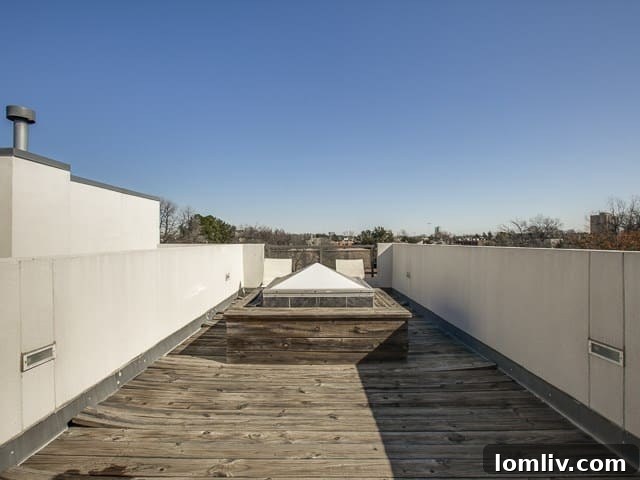 Beautiful Bowser Modern Townhome Urban Luxury Near Oak Lawn 18 4025-Bowser-Rooftop-Deck