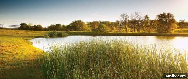 Well-Maintained Horse Paddocks at Luxury Ranch