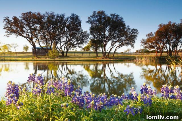 Hydrotherapy Barn with Underwater Treadmill