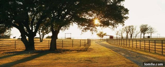Spacious Horse Wash Stalls with Radiant Heat