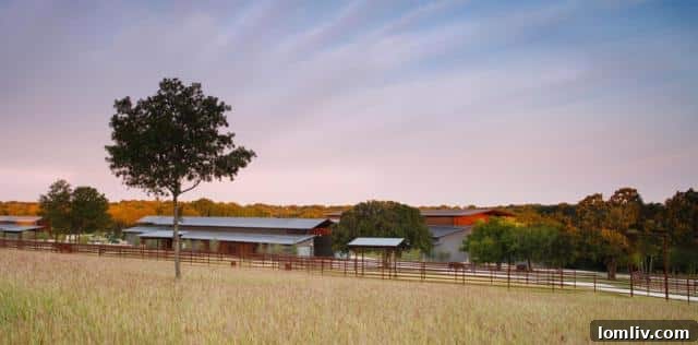 Interior of Main Barn with Radiant Heating