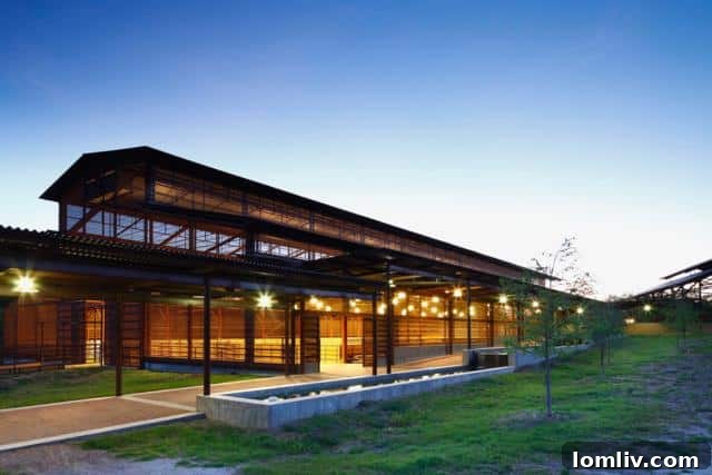 Mare Barn Interior with Individual Horse Runs
