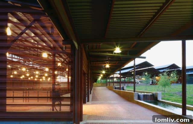 Equisizer for Horse Conditioning and Training