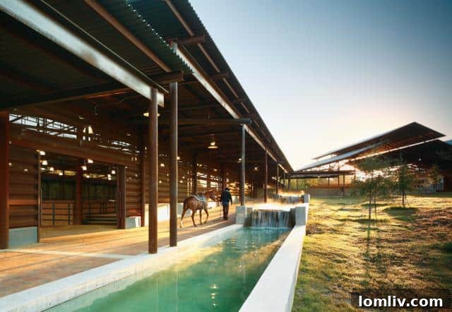 Veterinary Exam Area with Stocks for Equine Care