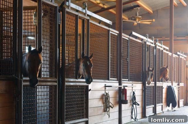 Climate-Controlled Shop with Gym and Parking Bays