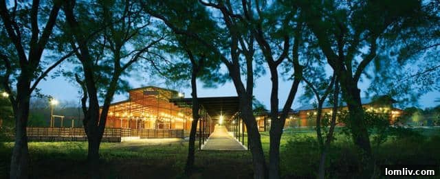 Spacious Aledo Ranch Property Overview