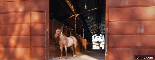 Scenic View of Aledo Equestrian Estate Pastures