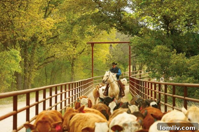 Indoor Equestrian Arena at Aledo Training Facility