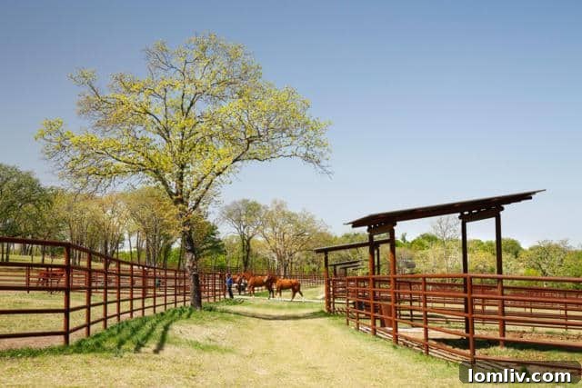 High Ceiling Indoor Arena for Horse Training
