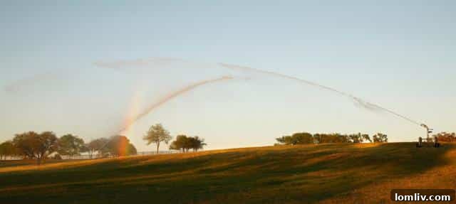 Lush Green Pastures and Horse Fencing