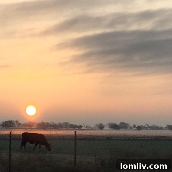 Brinkmann Ranch property, a historic landmark in Frisco, Texas
