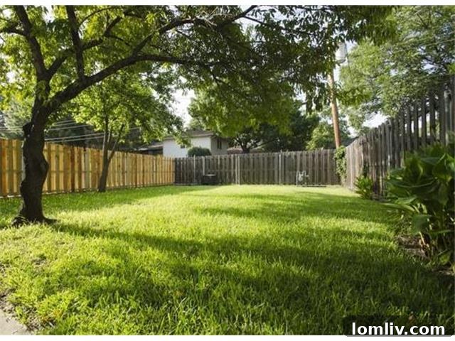 Stunning Lake Highlands Remodel Showcases a Custom Kitchen 12 Spacious Grassy Backyard Ideal for Family Fun and Entertainment