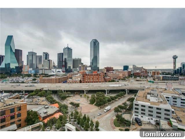 The House View - A stunning panoramic city view from a high-rise unit, encompassing urban landscapes and landmarks.