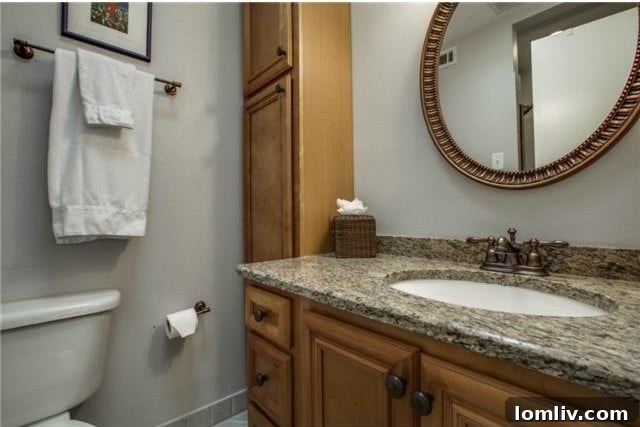 Midcentury Marvel: East Dallas Ranchette's Compact Power 16 Newly renovated bathroom with granite vanity and modern fixtures