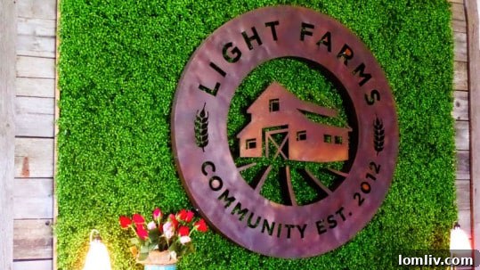 Jed Kolko: Millennials' Urban Image Overblown 2 Light Farms Community Development