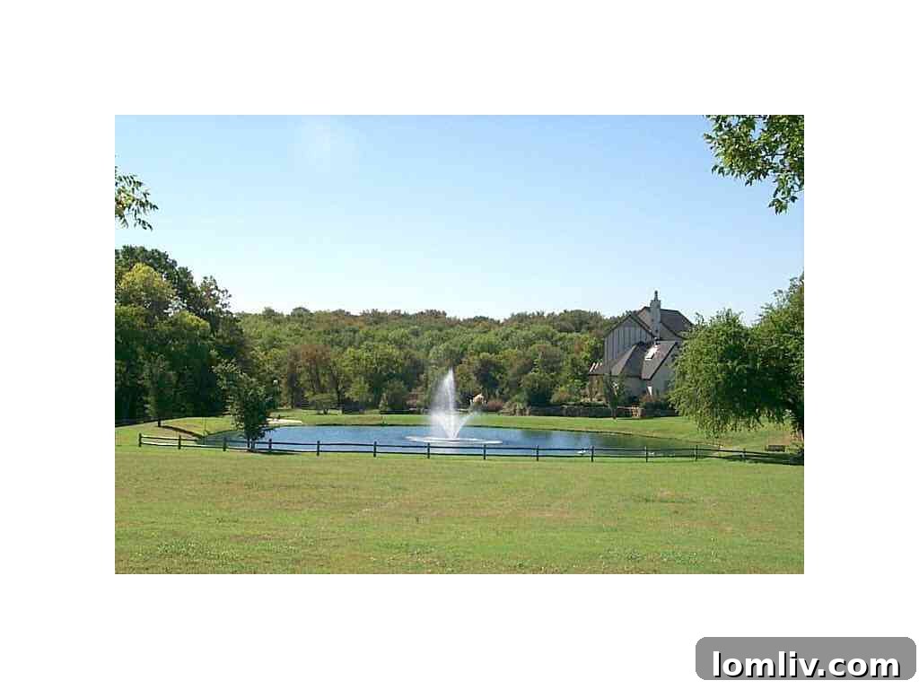 Overhead view highlighting the generous land, privacy, and full scope of the luxury estate at 415 Blondy Jhune Road.
