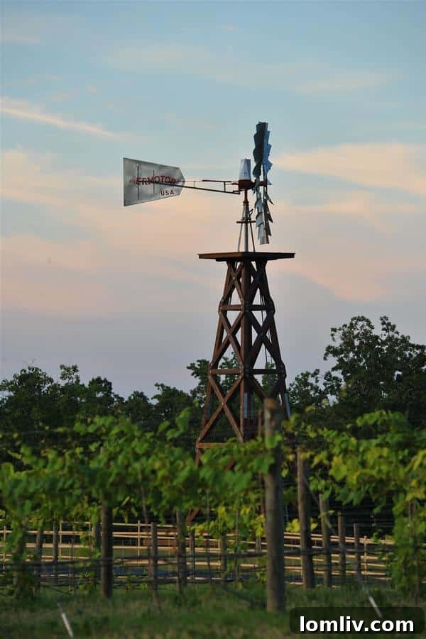 timber-creek-ranch-7-600